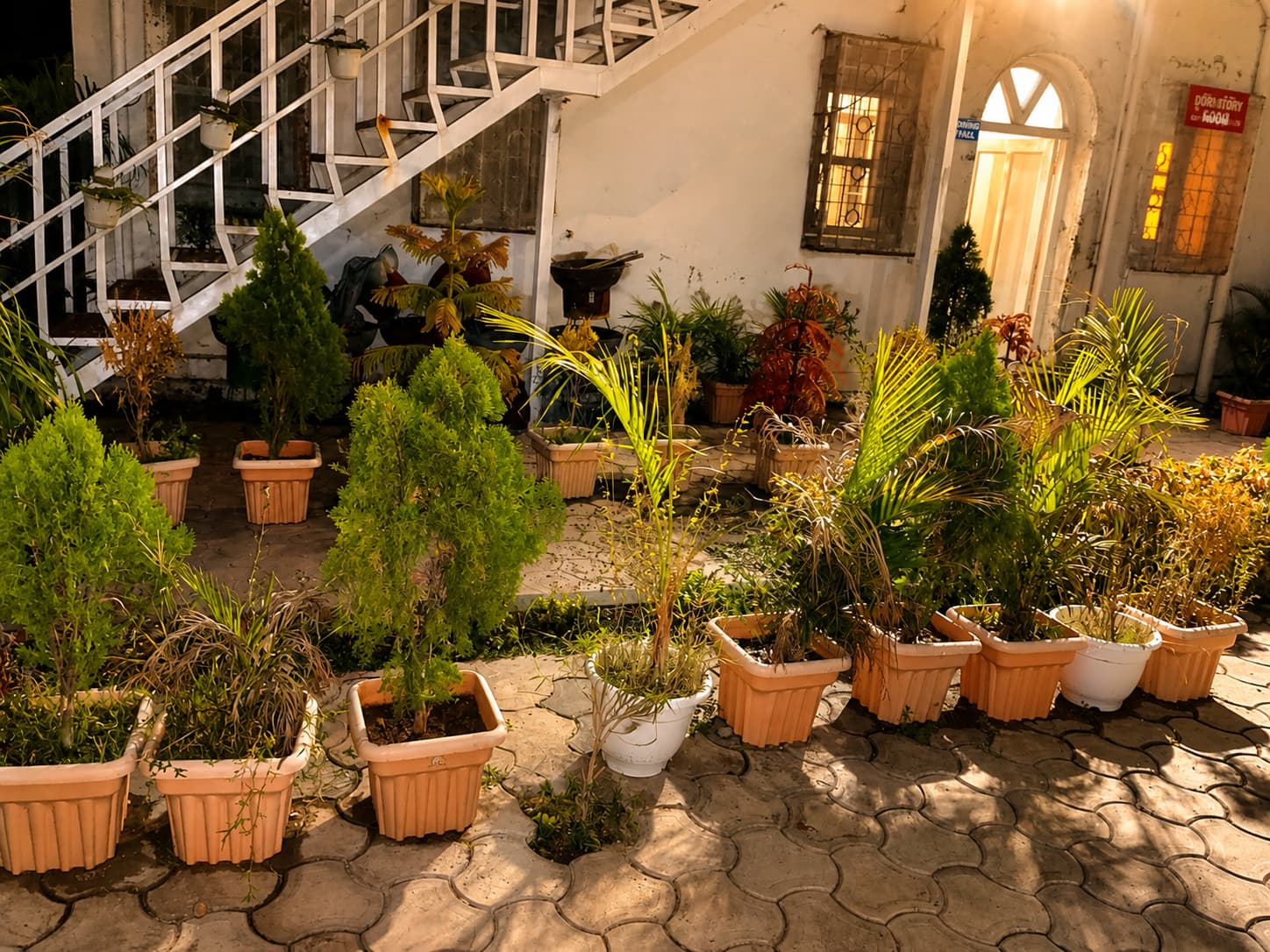 Cozy courtyard with potted plants
